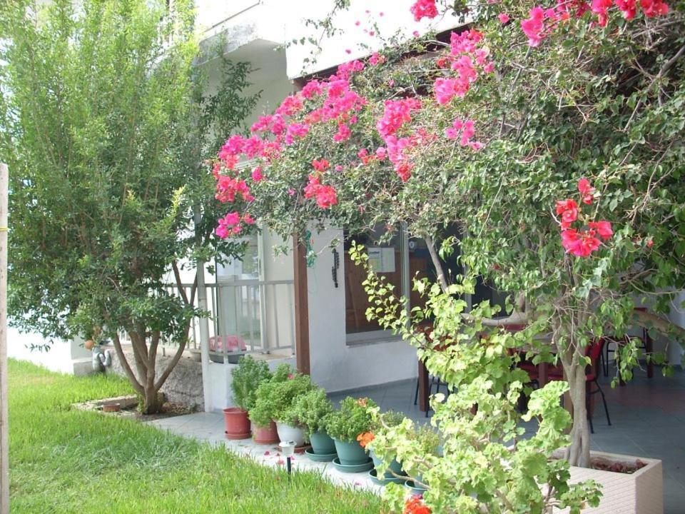 Sea Breeze 2 Apartments Мастіхарі Екстер'єр фото